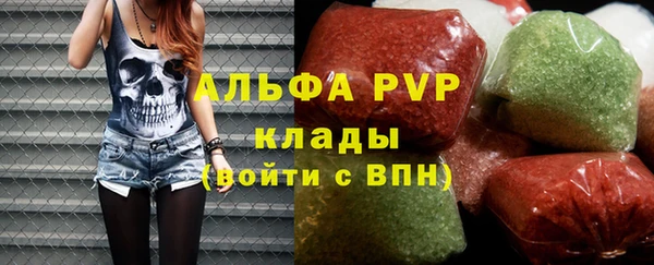 индика Нефтекумск