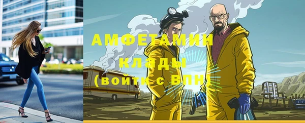 индика Нефтекумск