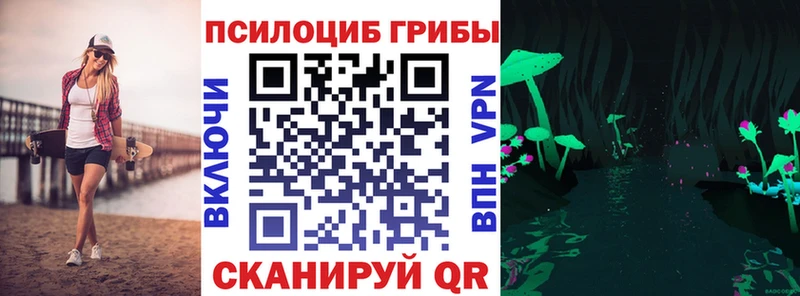 Псилоцибиновые грибы Psilocybe  Купить  Сызрань 